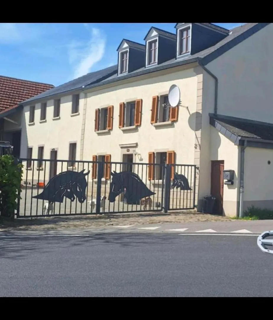 Ferienhaus Fuer Max6Gaeste 2Kids 4Erwn Халлер